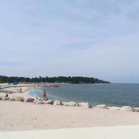 Apartment Stinjan Kascuni PUY 외부 사진